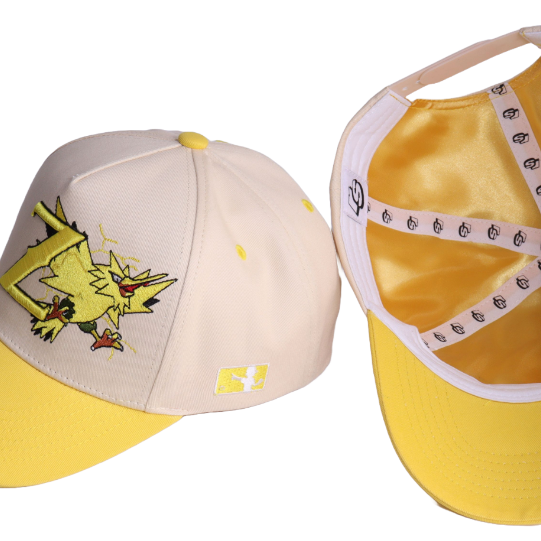 Zapdos x Zephyrs