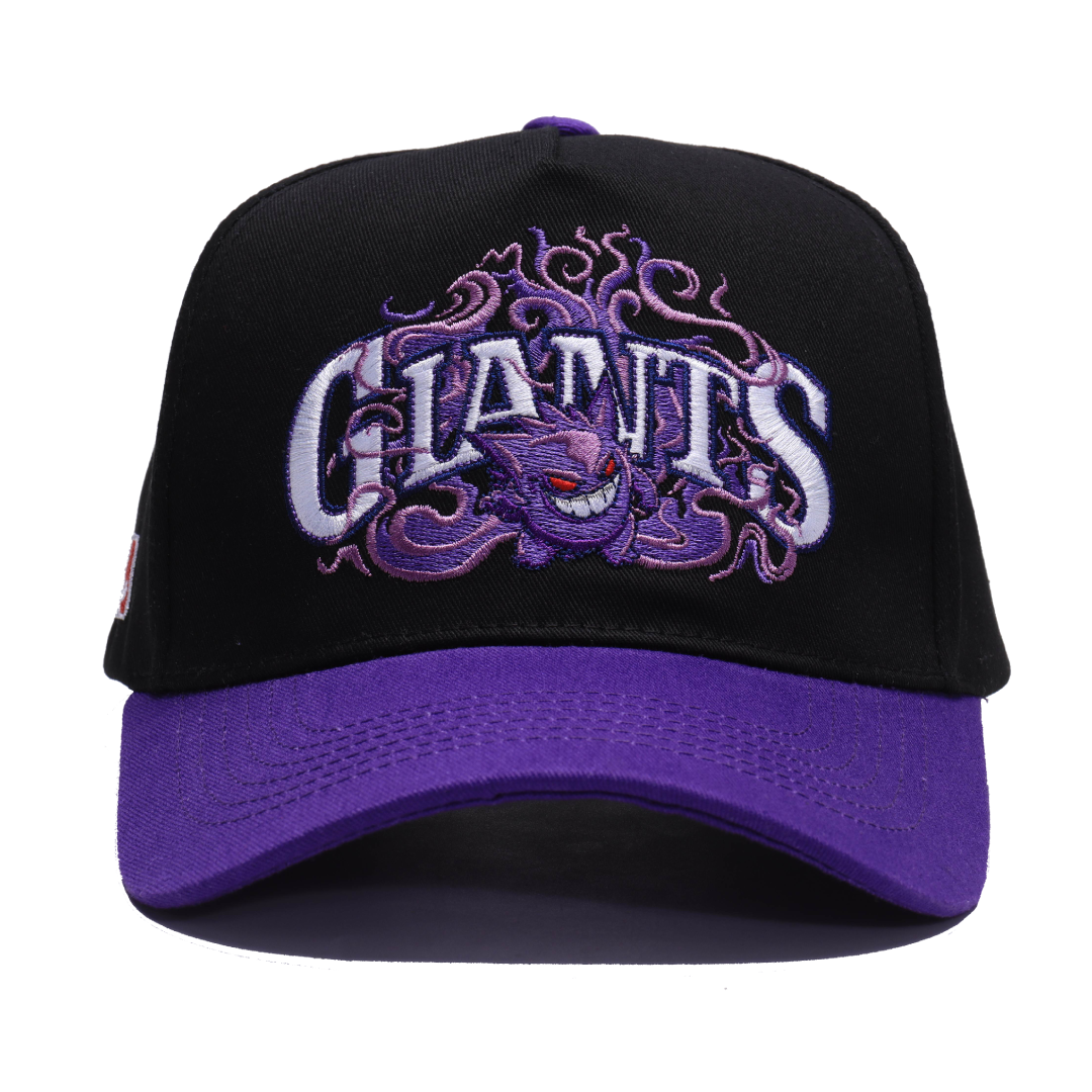 Two Tone Giants Adjustable Hat